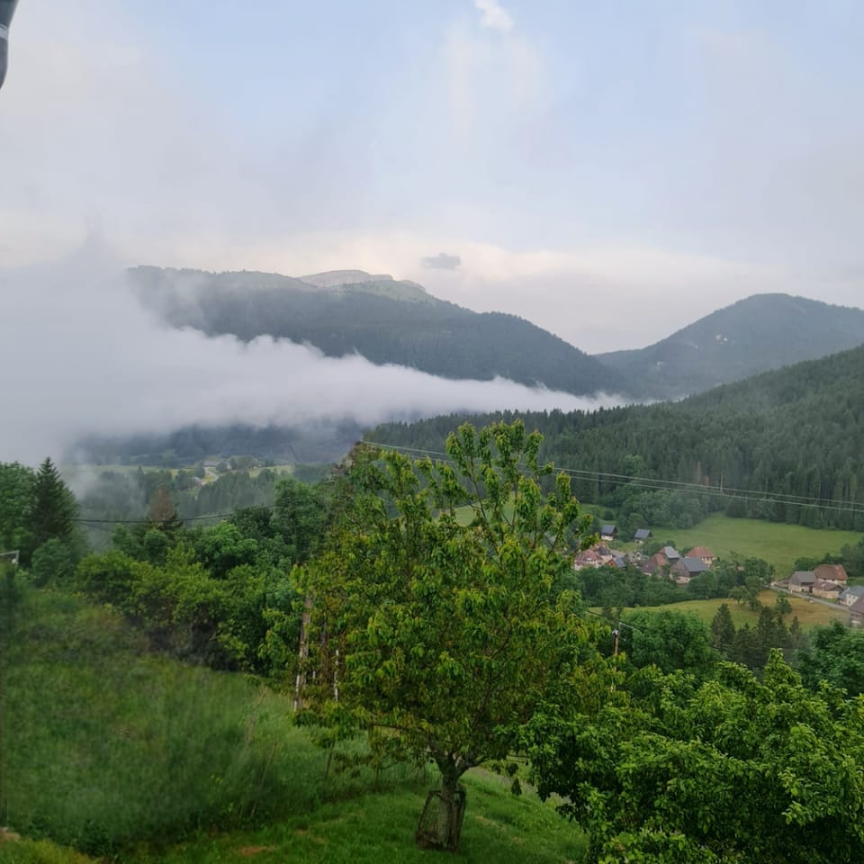 View from property
