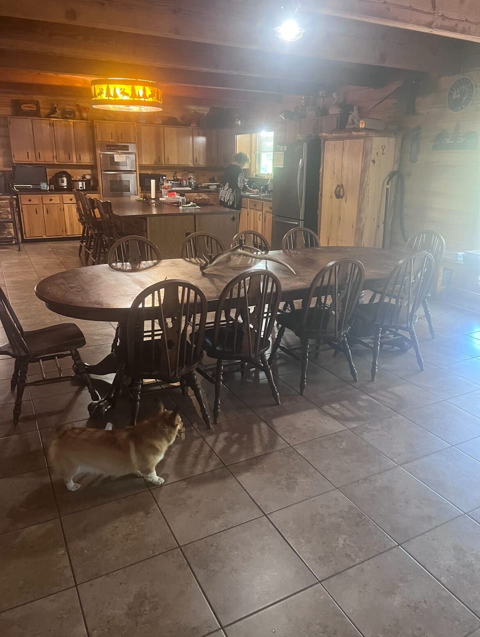 dinning room and Kitchen, dog not included, but pets are welcome!