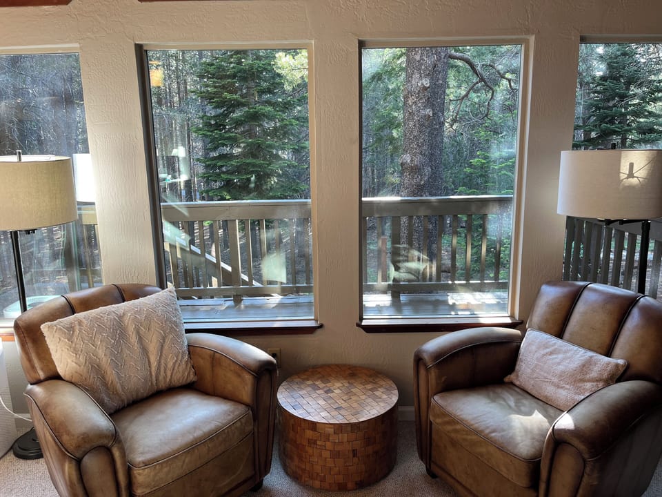 Cozy corner with leather chairs, coffee table, and forest views