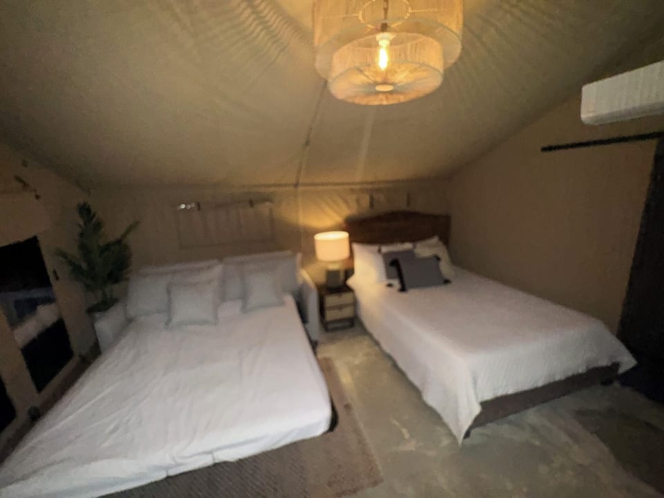bed and sofa bed