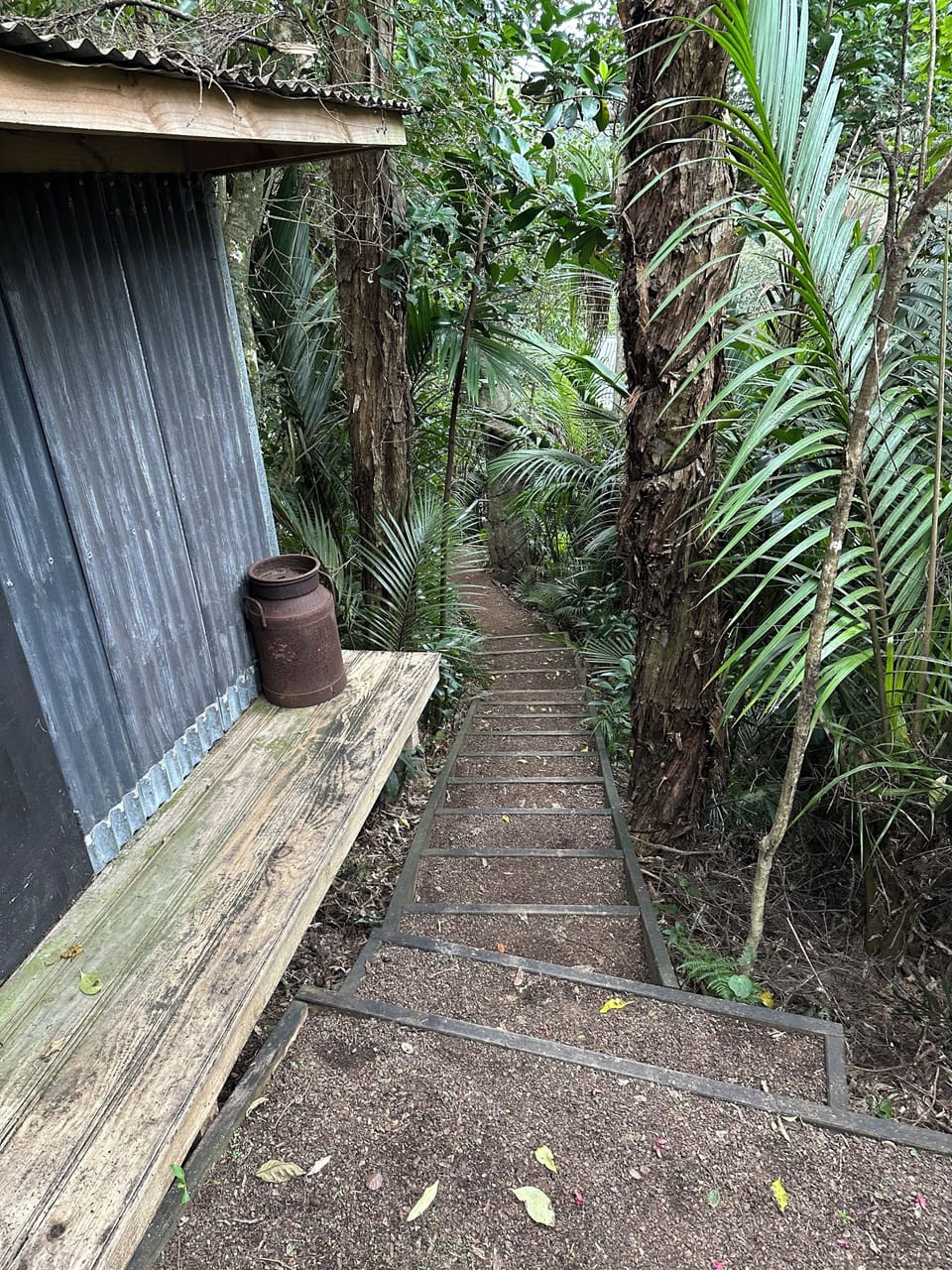Garden Steps to House
