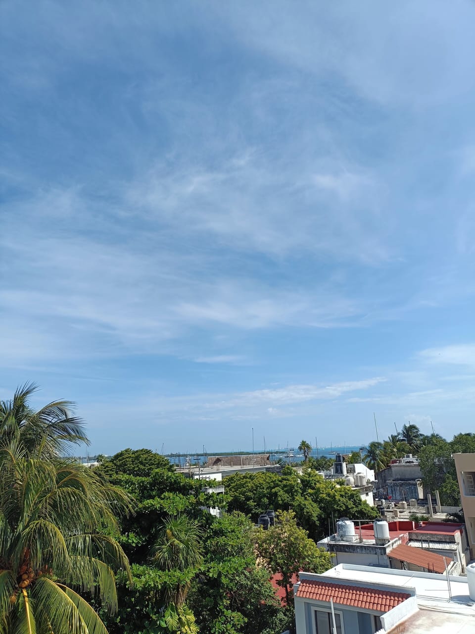 View from property