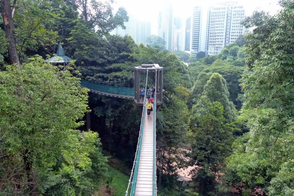 KL Forest Eco Park - 25 min drive