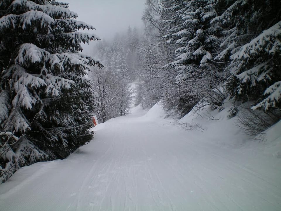 Snow and ski sports