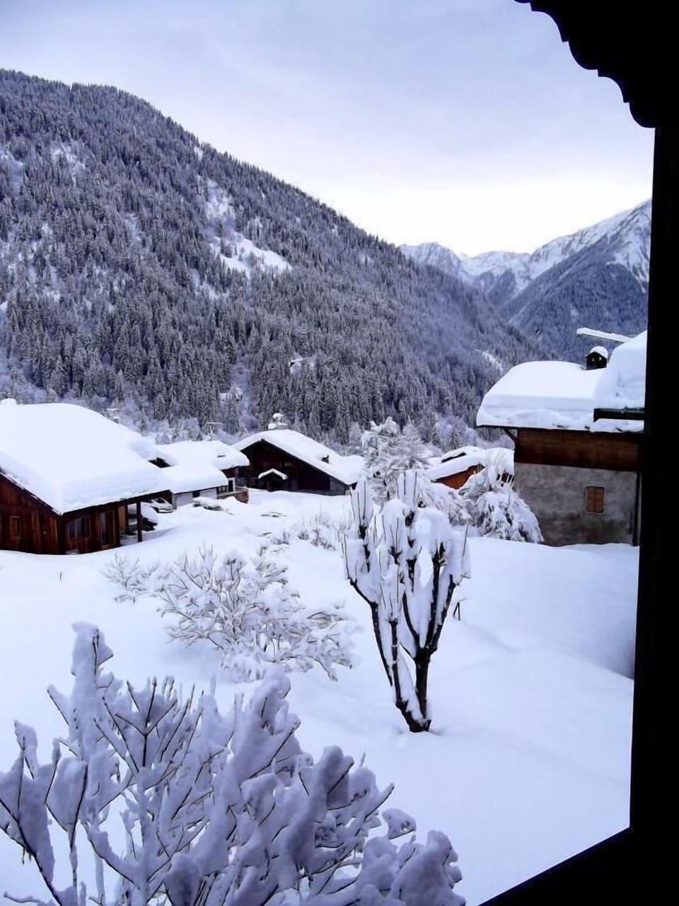 View from property