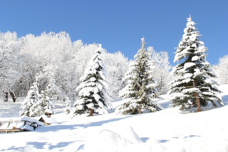 Snow and ski sports