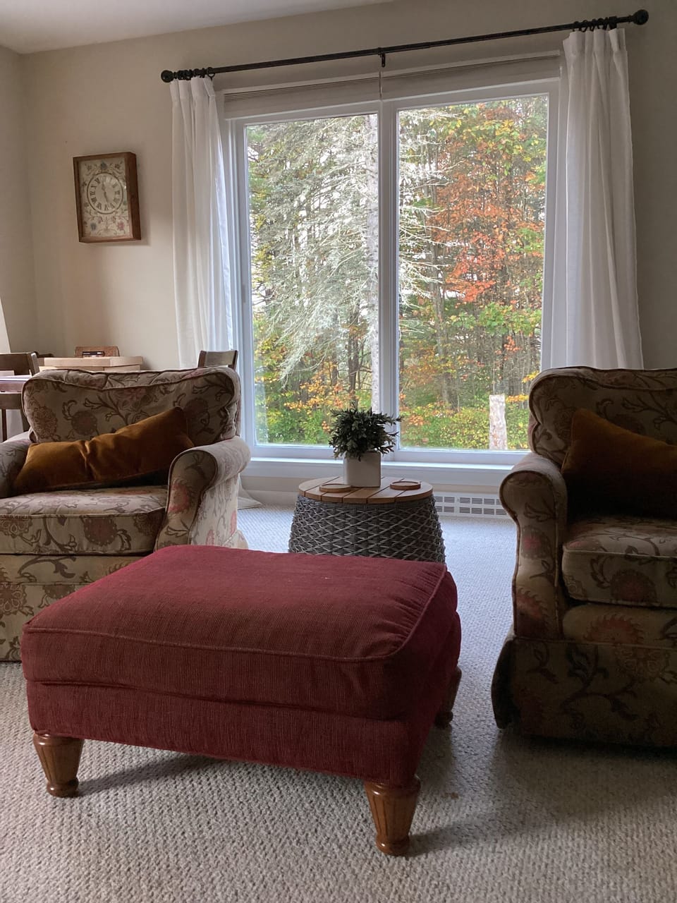 View to back yard from large living room window
