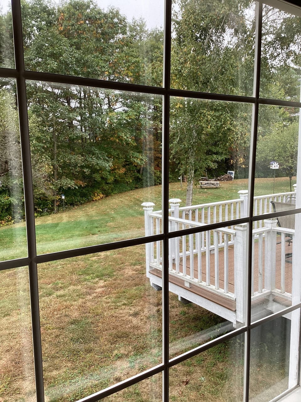 Back deck view from dining room window
