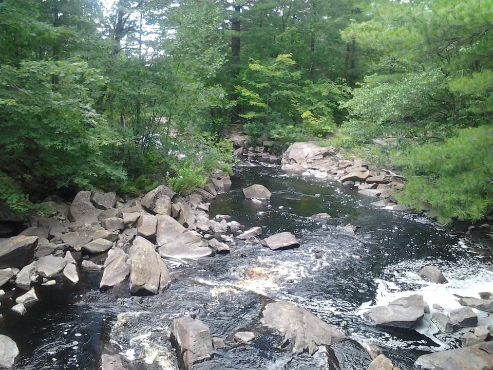 Looking down river from footbridge on trail to Jake's Pond.
