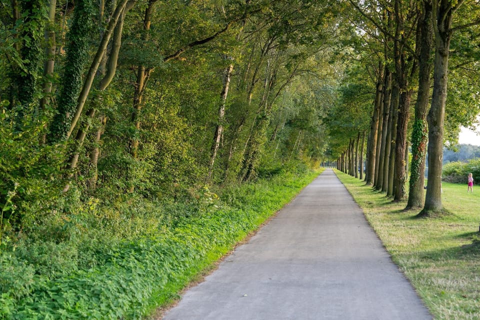 Surroundings [summer] (1-5 km)