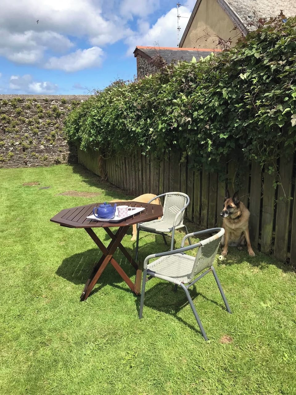 Enjoy lunch or dinner in the enclosed rear garden