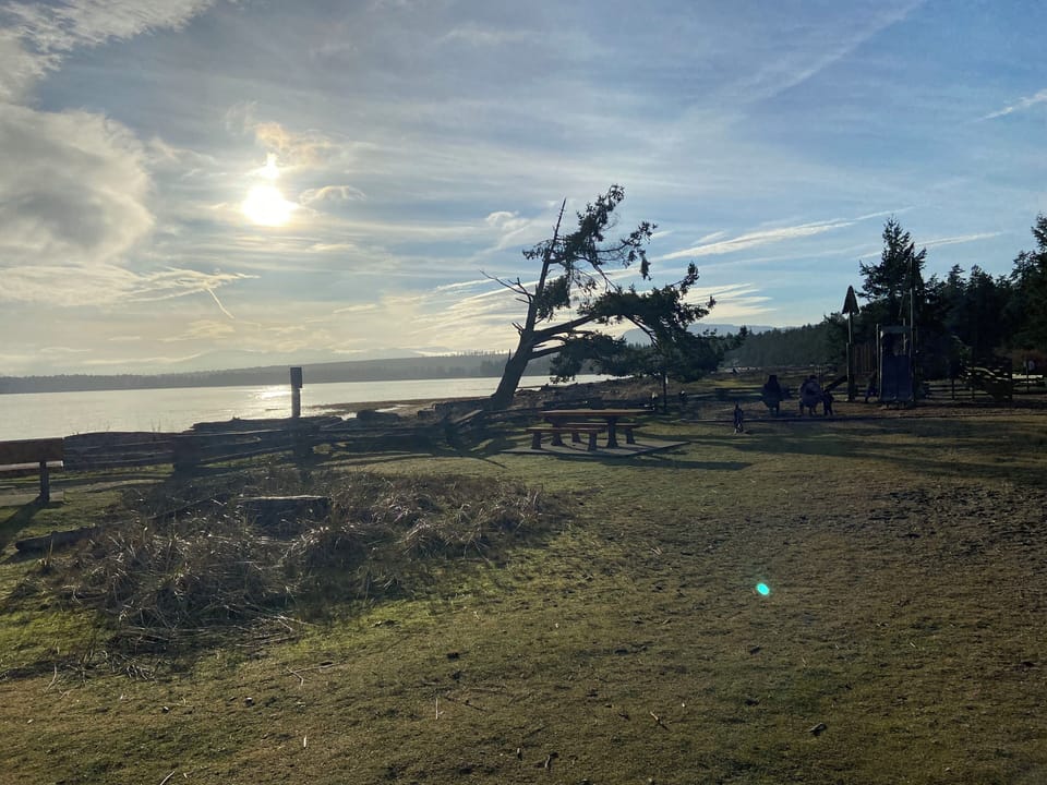 Craig Bay