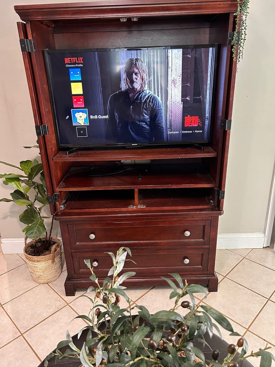 Television
