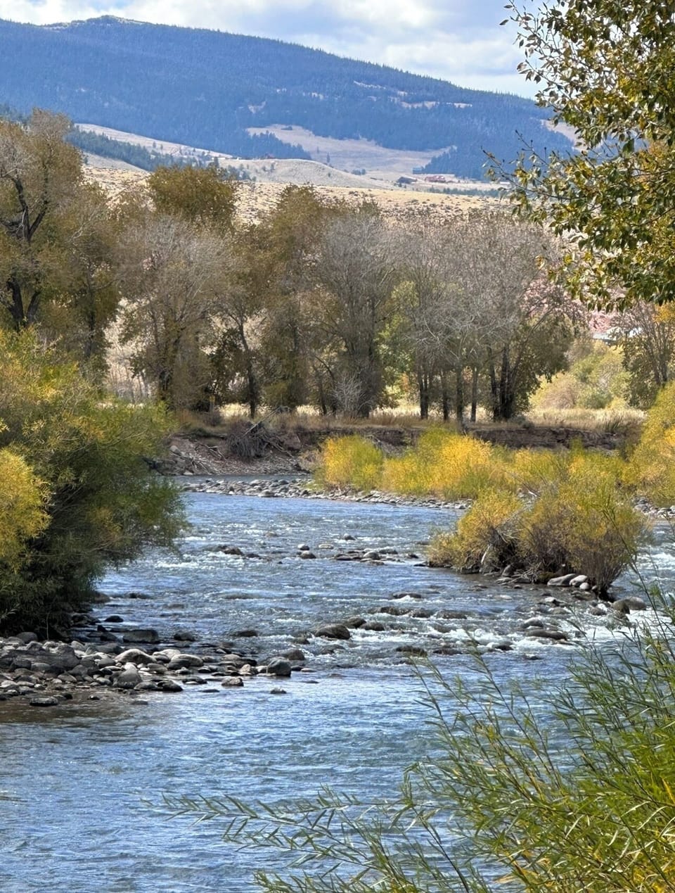 WindRiverView