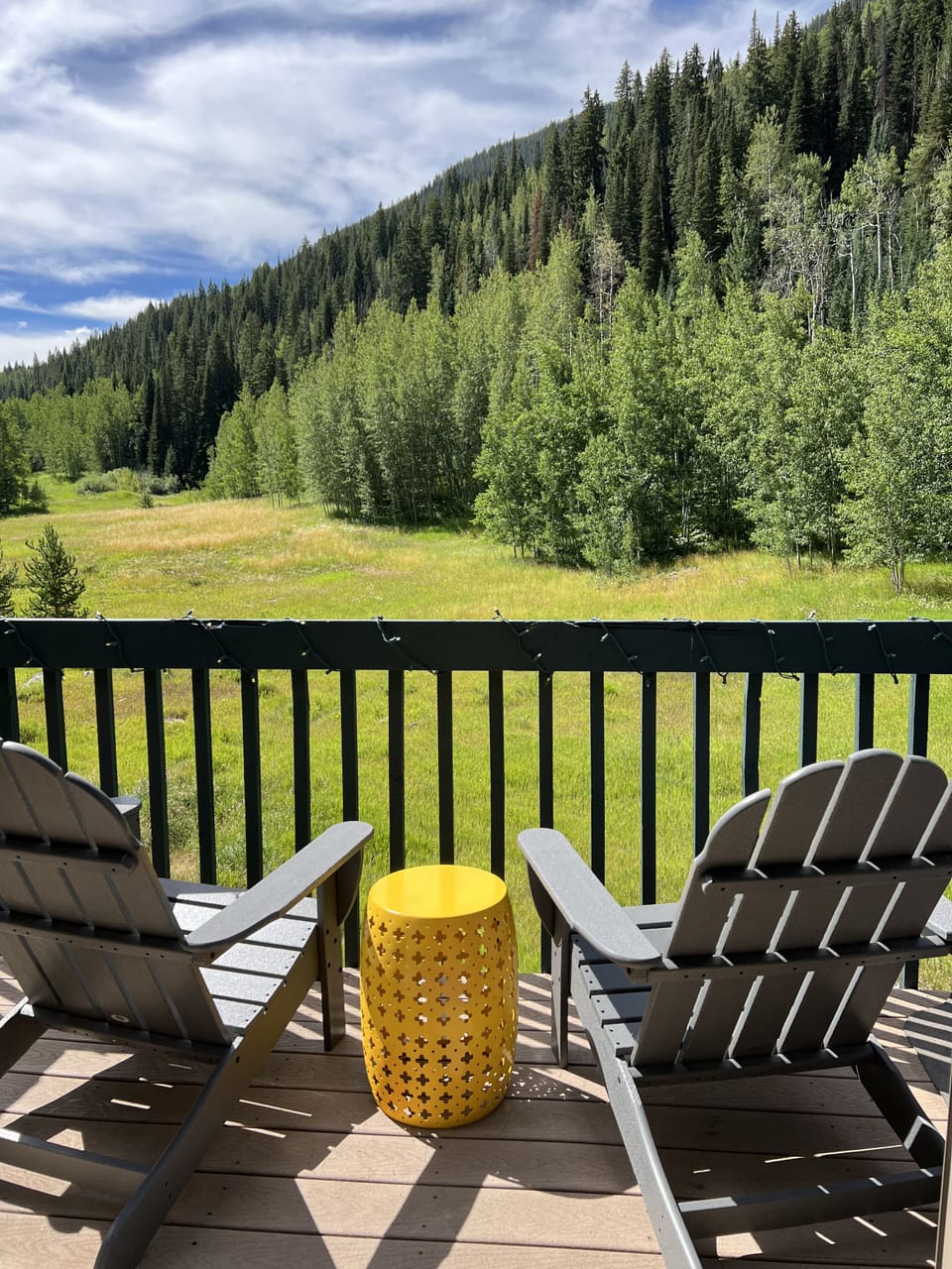 Deck off of living room