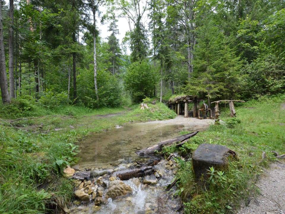Immediate Surroundings [summer] (<1 km)