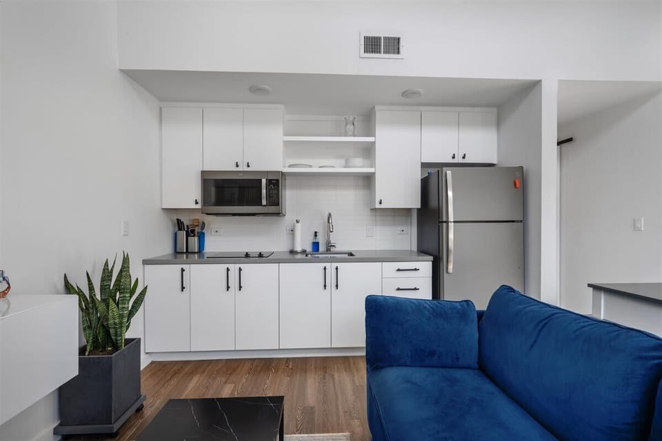 Living area and kitchenette