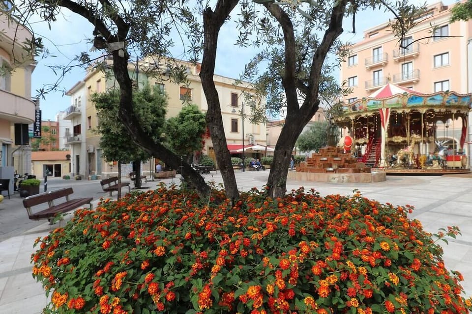 The beautiful town of Olbia