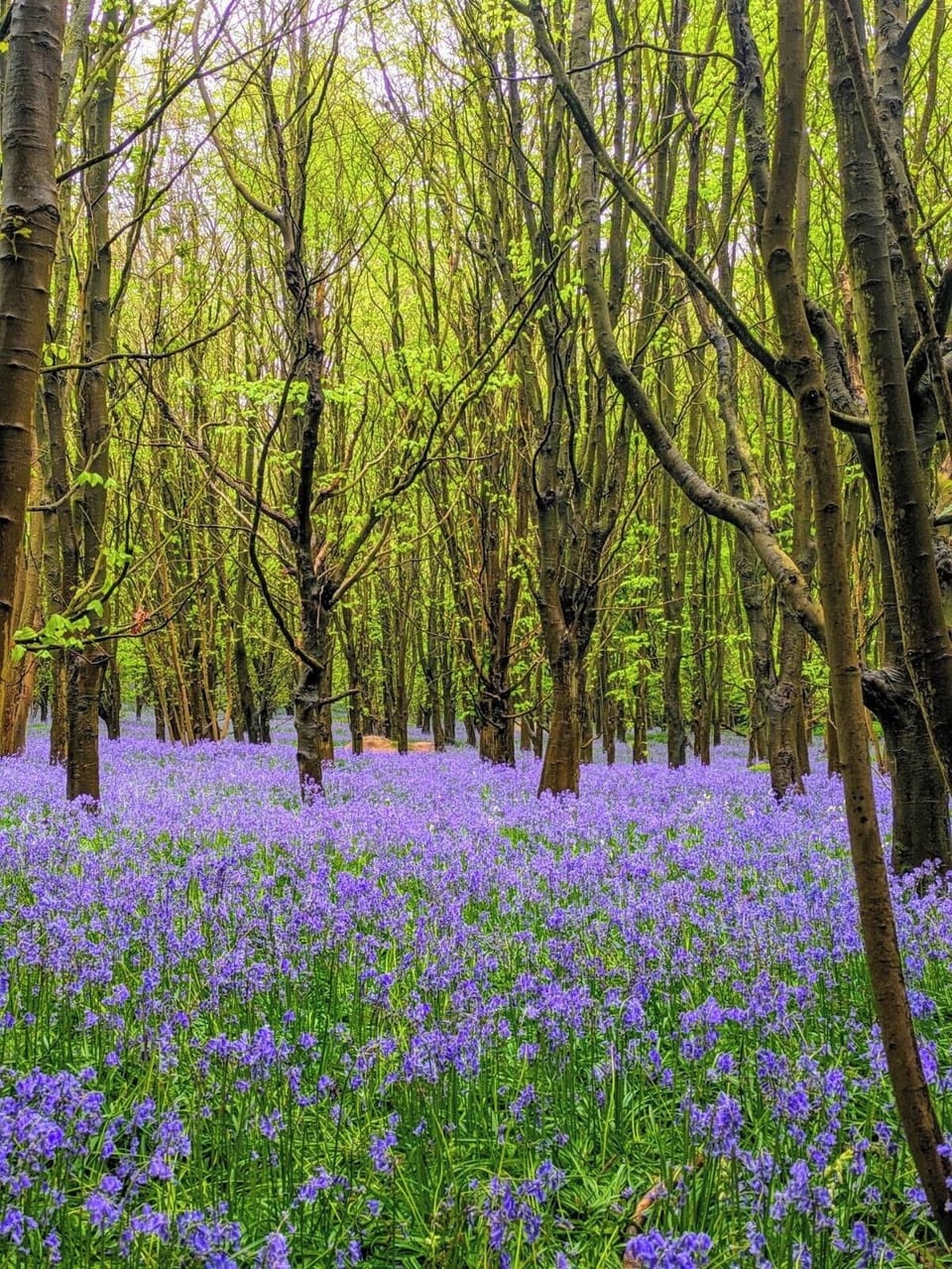 Discover the stunning landscapes of Brighton