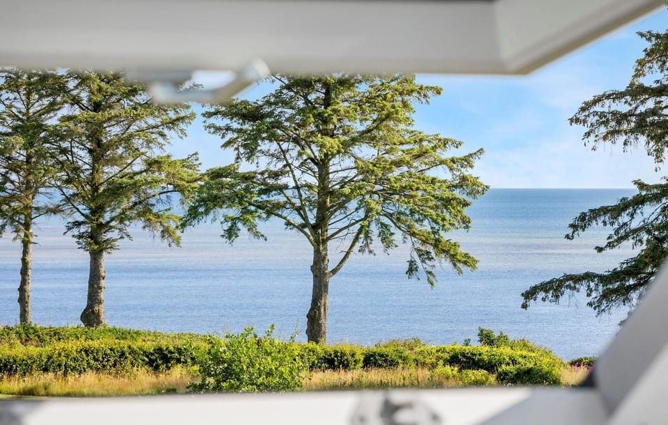 view-from-room