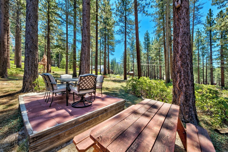 Your private forest sanctuary awaits with comfortable outdoor seating surrounded by towering pines, perfect for morning coffee or evening relaxation.