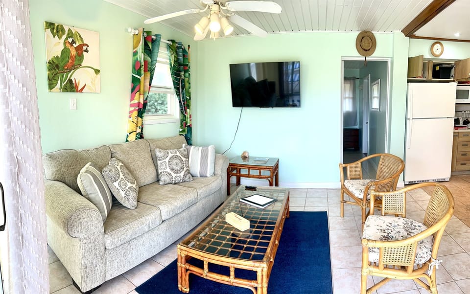 Living room with sofa bed.