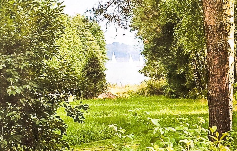 view-from-room