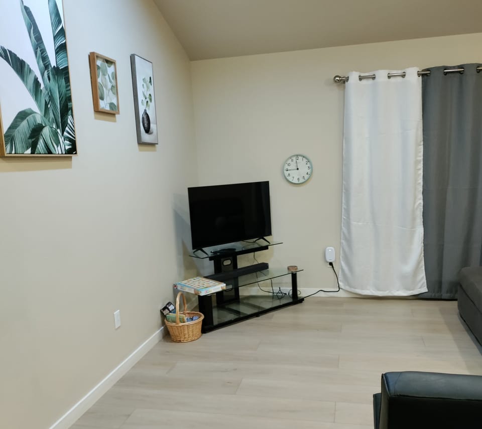 Large open living room 