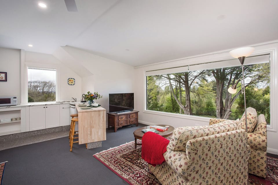 Full sized TV and comfy chairs with great view out to the tree tops.