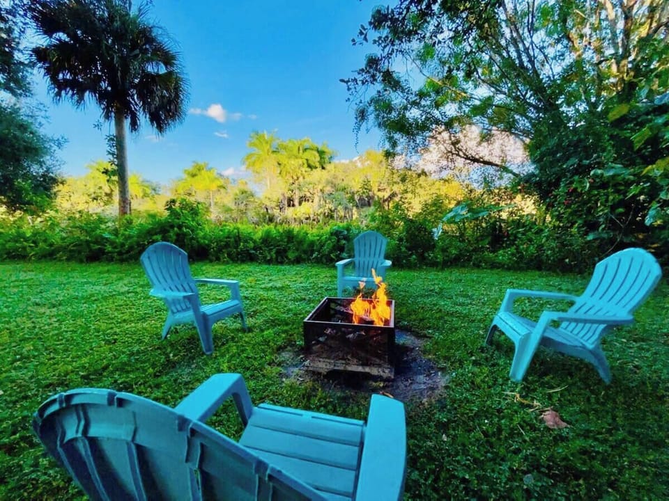 Toast marshmallows or just take in the beauty.