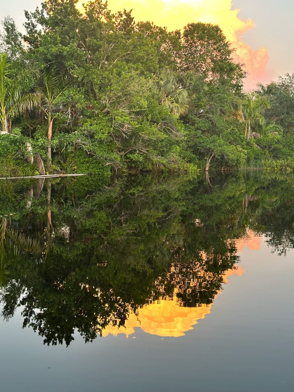 Relax by the river with a coffee. Best Sunrise ever