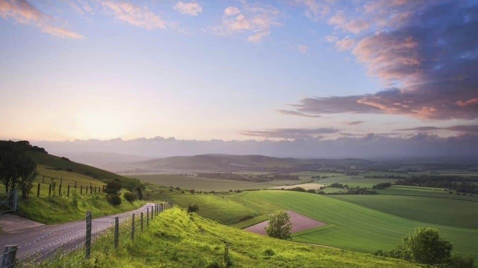 A short drive to the north are the South Downs, offering rolling hills, walks and wildlife.