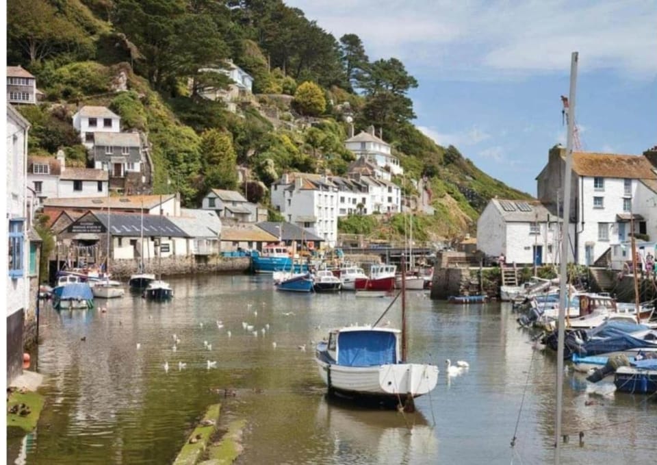 Region [summer] (>5 km)