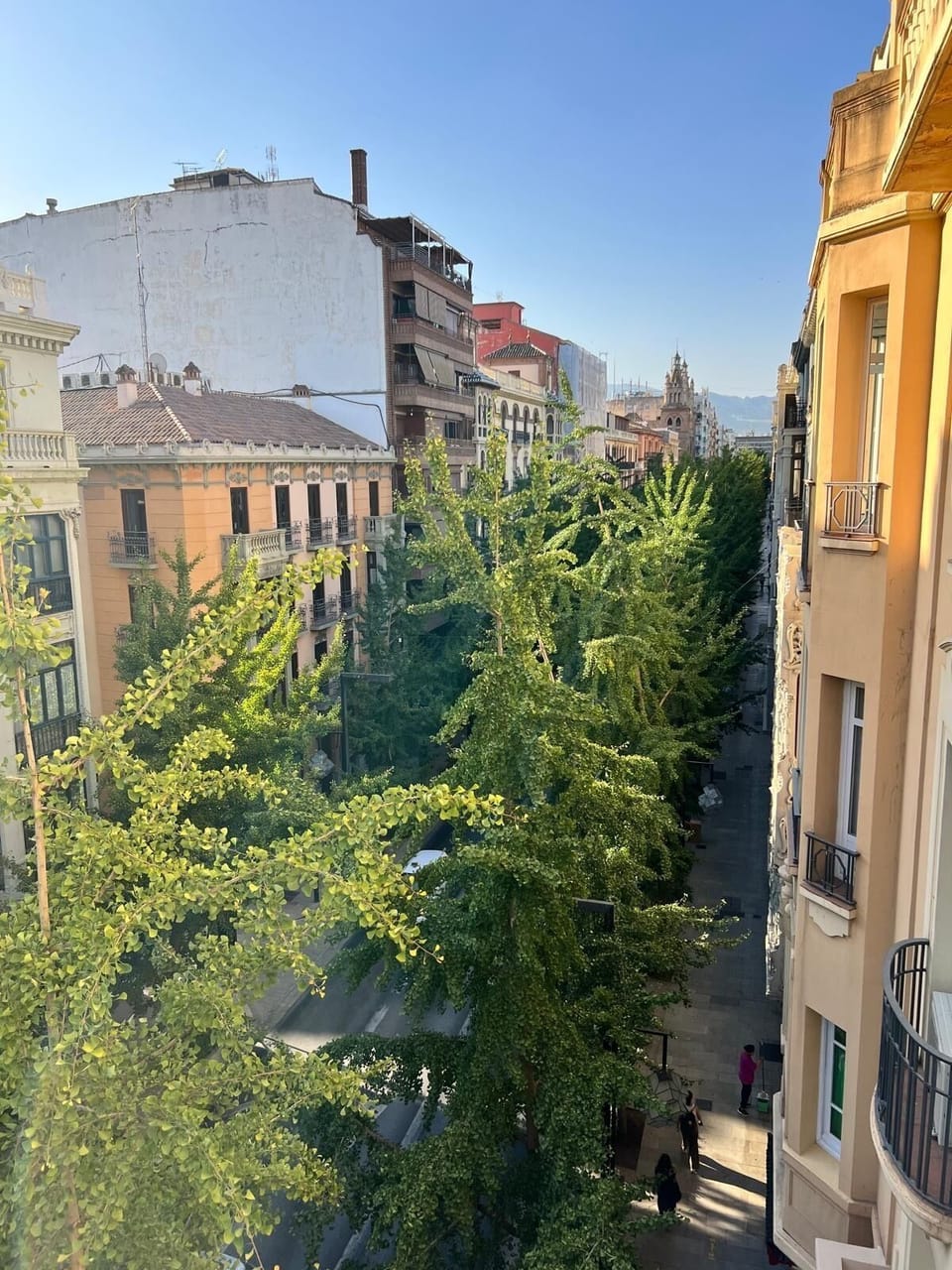 View from property