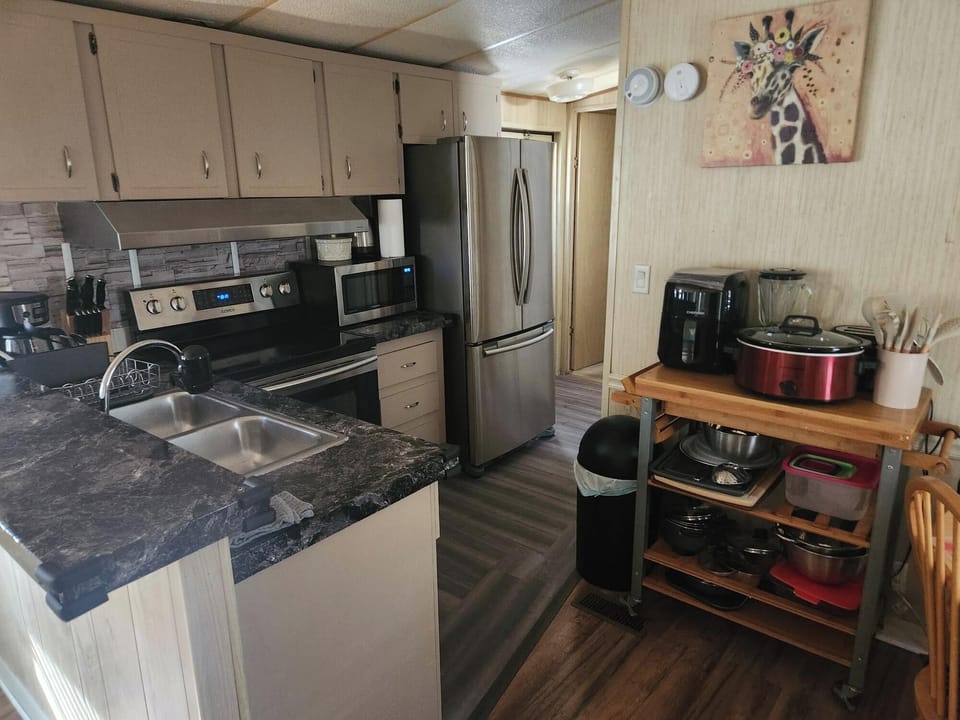 Kitchen, Samsung Stainless Steel Appliances