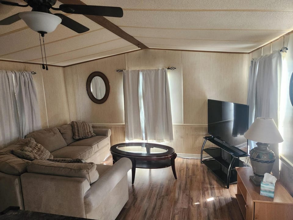 Living Room, 55" Smart TV, Local Channels, Netflix, Amazon Prime TV