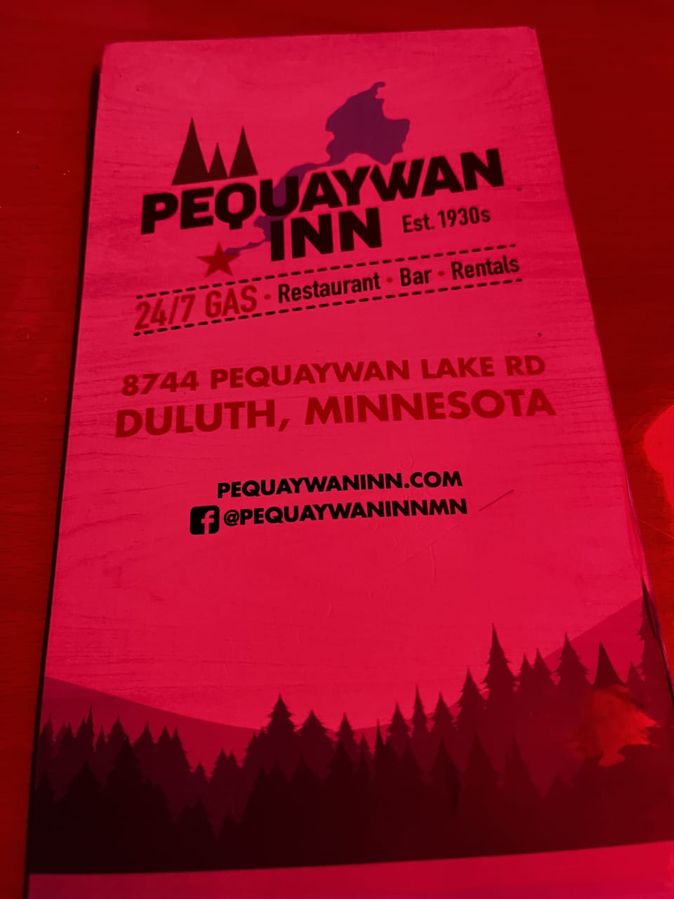 Local Inn, 4 mile drive OR you can Pontoon/snowmobile to it off the Lake!