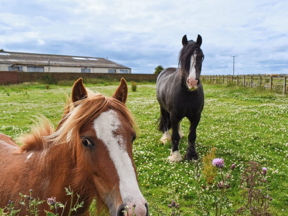 Surrounding area | The Barn, Houghton Le Spring, near Durham