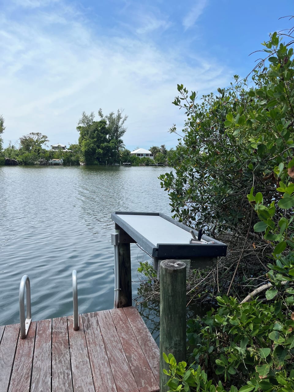 Fish Cleaning and Ladder to Pristine Waterway