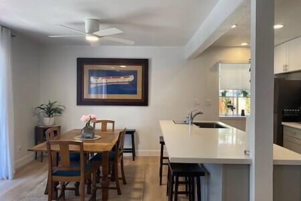 Dining/Kitchen Counter