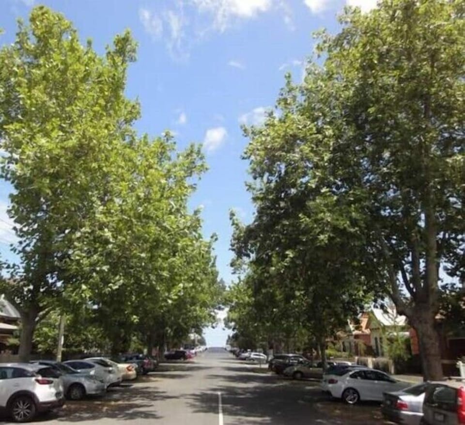 WIDE TREE LINED STREETS. Middle Park is famous for its preserved heritage architecture quiet, wide, tree lined streets, low rise buildings and the lack of vehicle traffic. This is Nimmo Street. 