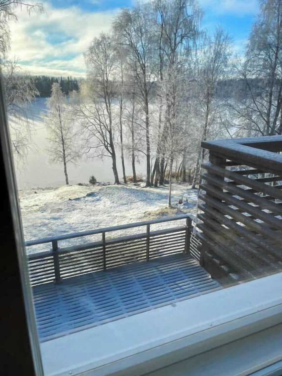Winter view 1