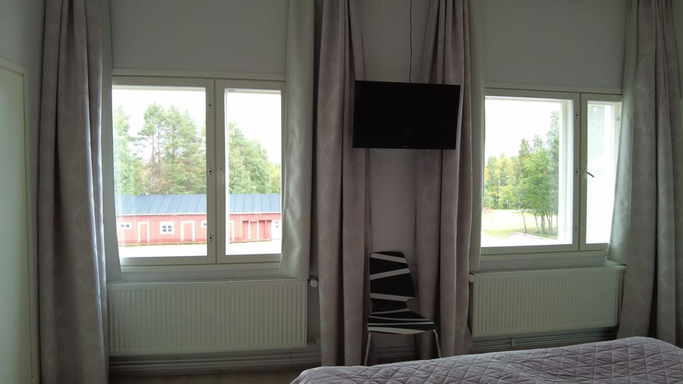 TV and window view