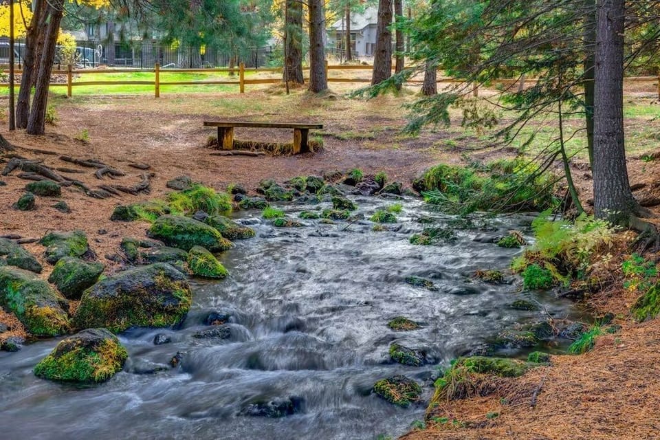 Black Butte Ranch trails. 