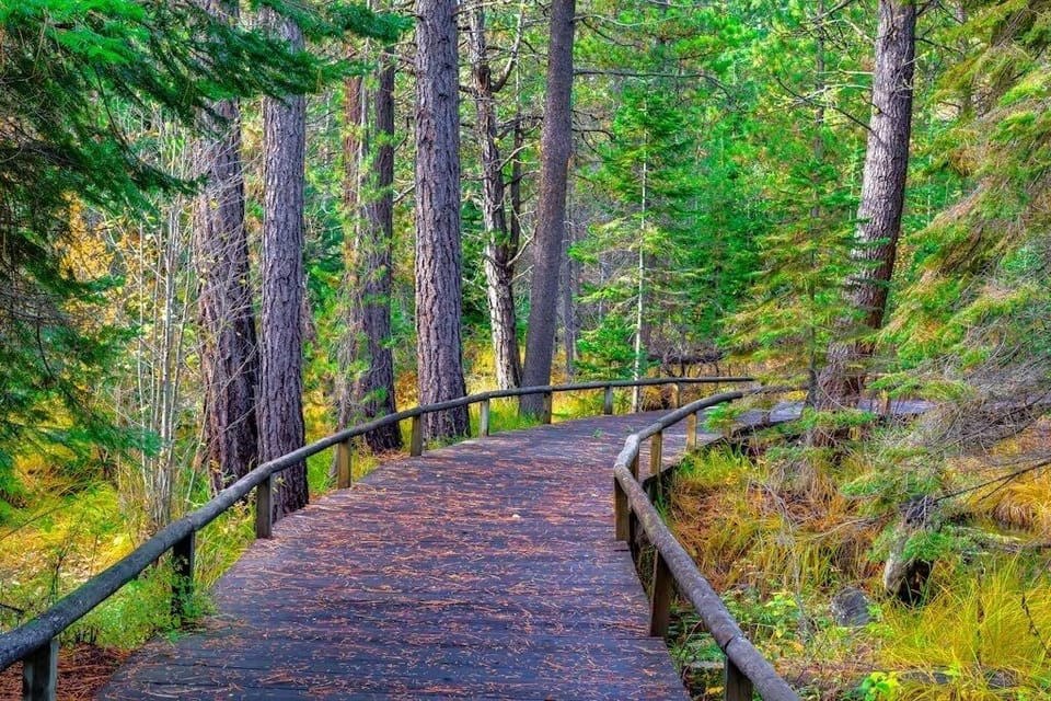 Hiking and biking trails throughout the ranch. 