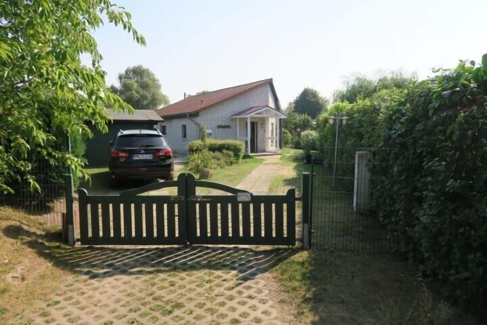 Main view