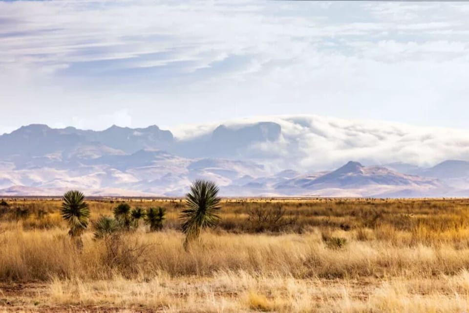 Marfa