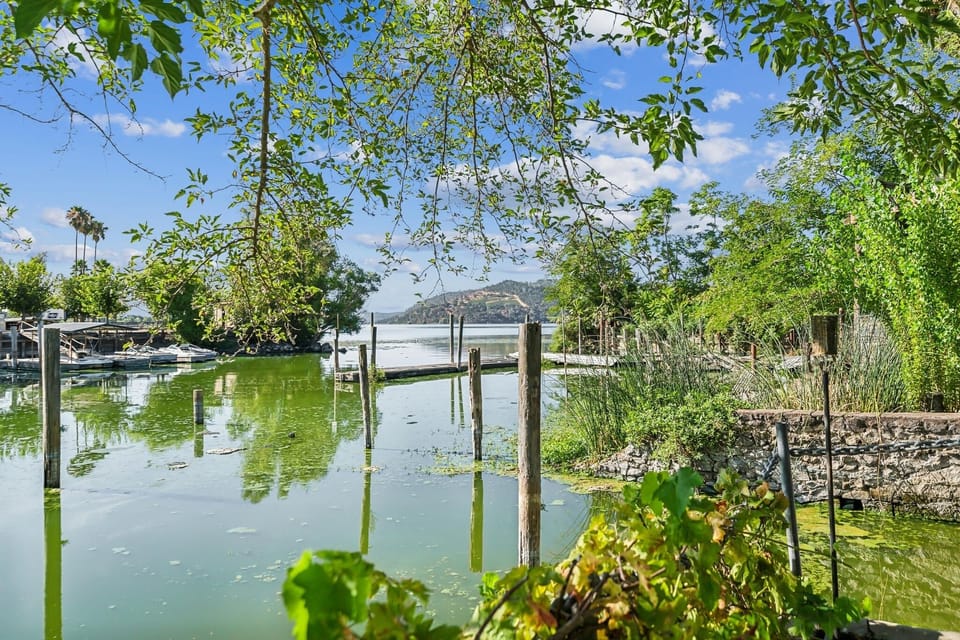 Nature, Outdoors, Scenery, Pond, Water