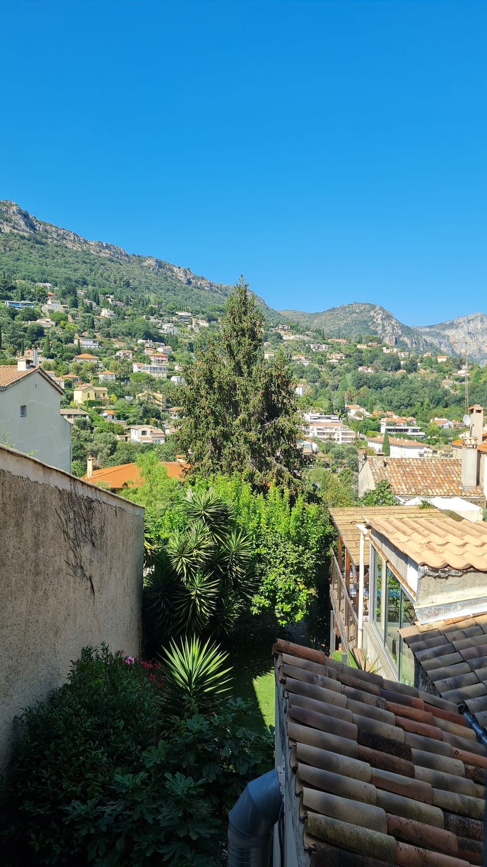 View from property