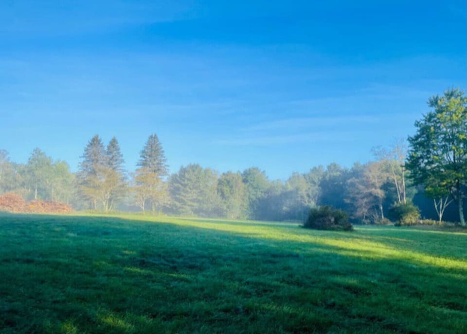 Looking out from the property…a misty morning in September